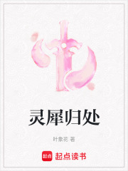 灵犀归处在线阅读