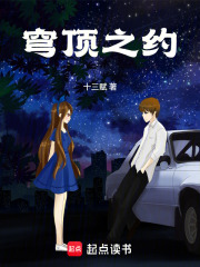 穹顶之约在线阅读