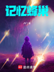 记忆蜂巢在线阅读