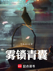 雾锁青囊在线阅读
