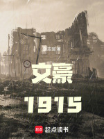 文豪1915封面