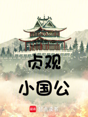贞观小国公