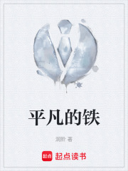 平凡的铁在线阅读