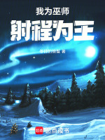 我为巫师，射程为王封面