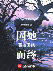 魔皇灭世录