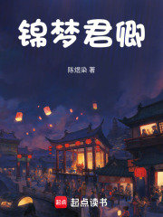 锦梦君卿在线阅读