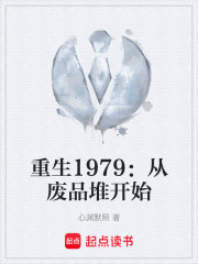 重生1979：从废品堆开始