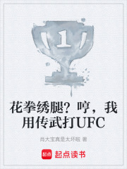 花拳绣腿？哼，我用传武打UFC在线阅读