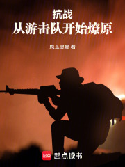 抗战：从游击队开始燎原在线阅读