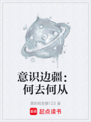 意识边疆：何去何从在线阅读