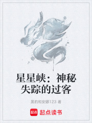 星星峡：神秘失踪的过客在线阅读
