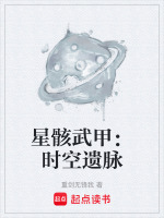 星骸武甲：时空遗脉封面