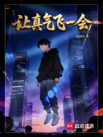让真气飞一会封面