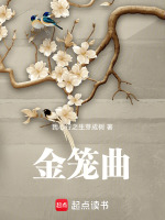 金笼曲最新章节在线阅读