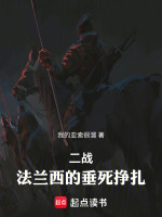 二战：法兰西的垂死挣扎封面
