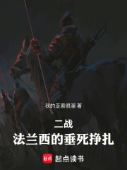 二战：法兰西的垂死挣扎