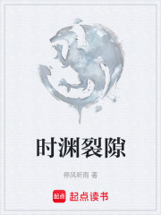 时渊裂隙