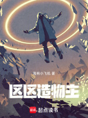 区区造物主在线阅读