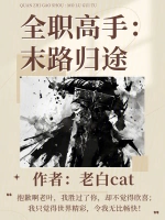 全职高手：末路归途