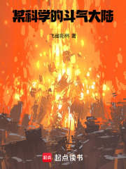 某科学的斗气大陆！