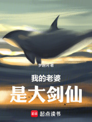 我的老婆是大剑仙在线阅读