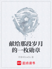 献给那段岁月的一枚勋章在线阅读