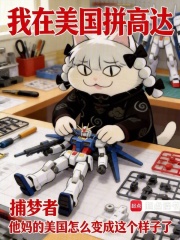 我在美国拼高达在线阅读