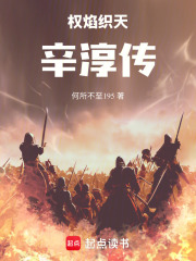 权焰织天：辛淳传
