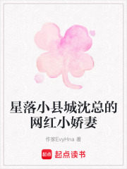 星落小县城沈总的网红小娇妻在线阅读