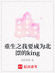 重生之我要成为北漂的king在线阅读
