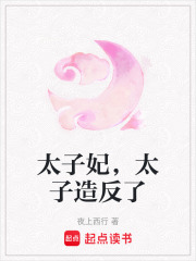 太子妃，太子造反了在线阅读
