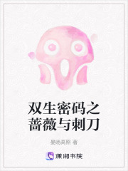 双生密码之蔷薇与刺刀在线阅读