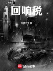回响税在线阅读