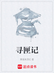 寻匣记在线阅读