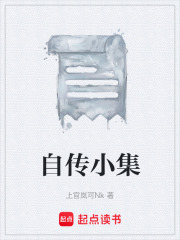 自传小集在线阅读