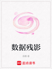 数据残影在线阅读