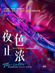 Sales夫妇（江疏影、佟大为主演影视《夜色正浓》原著）