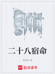 二十八宿命在线阅读