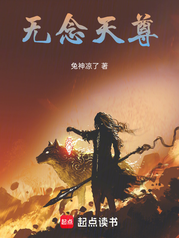 无念天尊封面