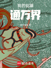 我的仙藤通万界在线阅读