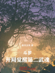 斗罗：开局穿越戴华斌