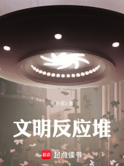 文明反应堆在线阅读