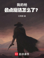 我的枪会点魔法怎么了？在线阅读