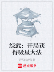 综武：开局获得吸星大法在线阅读