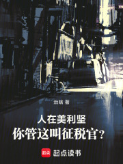 人在美利坚，你管这叫征税官？