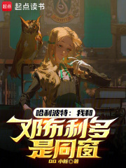 哈利波特：我和邓布利多是同窗