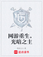网游重生，光暗之主封面