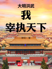 大明洪武：我，宰执天下在线阅读