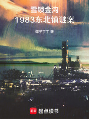 雪锁金沟：1983东北镇谜案在线阅读