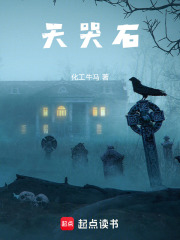 天哭石在线阅读